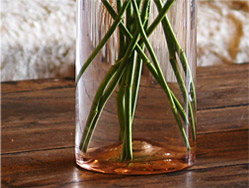 2fishinthesea - Home Photo